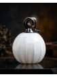 Pumpkin Collection
